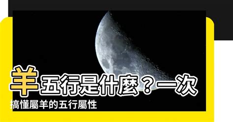 羊屬五行|【屬羊五行】屬羊五行缺什麼？一文揭曉屬羊五行屬性、相合相剋。